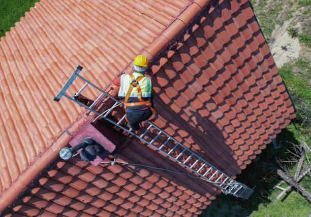 Best Solar Panel Roofing Installation  in Loch Lomond, VA