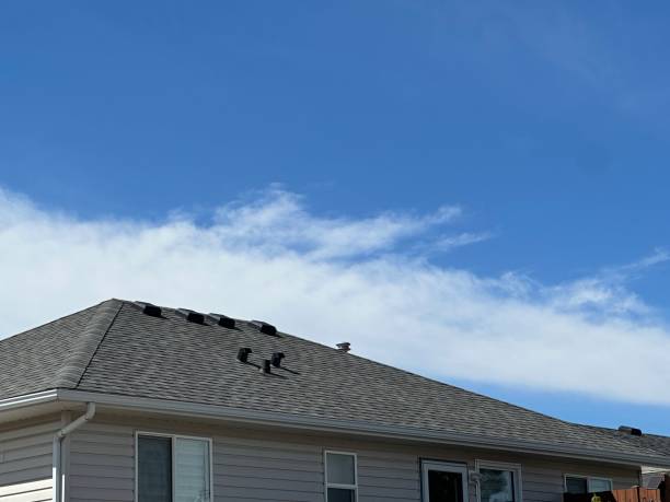 Best Asphalt Shingle Roofing  in Loch Lomond, VA